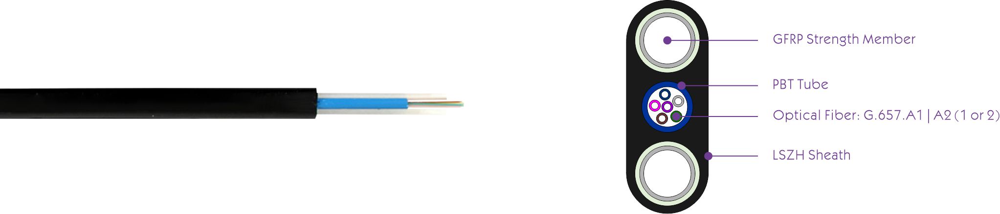 Cabo Externo Plano 2